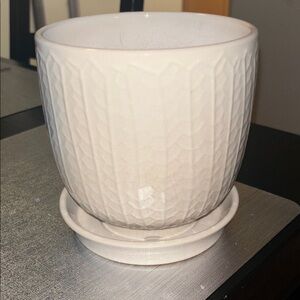 Ivory Plant Pot